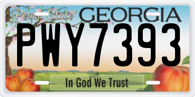 GA license plate PWY7393