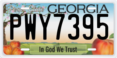 GA license plate PWY7395