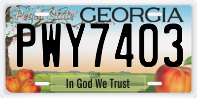 GA license plate PWY7403