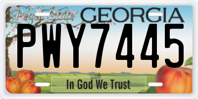 GA license plate PWY7445