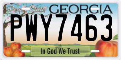 GA license plate PWY7463