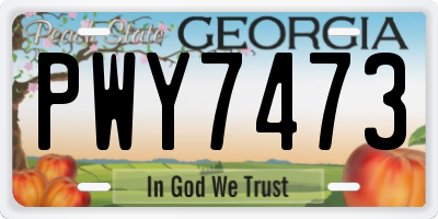 GA license plate PWY7473