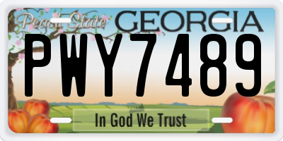 GA license plate PWY7489