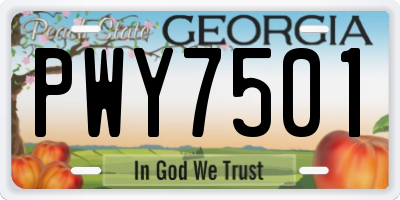 GA license plate PWY7501