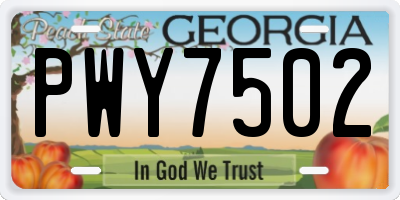 GA license plate PWY7502