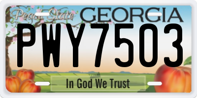 GA license plate PWY7503