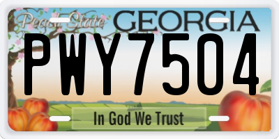 GA license plate PWY7504