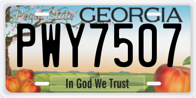 GA license plate PWY7507