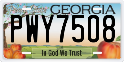 GA license plate PWY7508