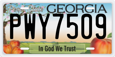 GA license plate PWY7509