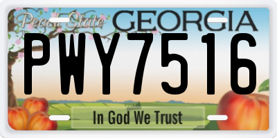 GA license plate PWY7516