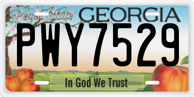 GA license plate PWY7529