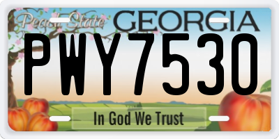 GA license plate PWY7530