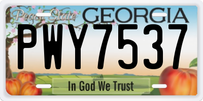 GA license plate PWY7537