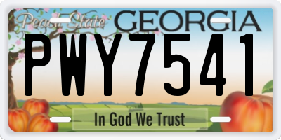 GA license plate PWY7541