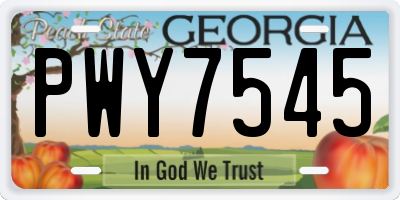 GA license plate PWY7545
