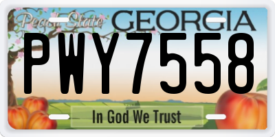 GA license plate PWY7558