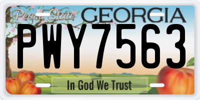GA license plate PWY7563