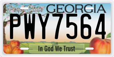 GA license plate PWY7564