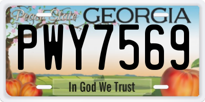 GA license plate PWY7569
