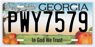 GA license plate PWY7579