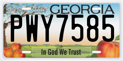 GA license plate PWY7585