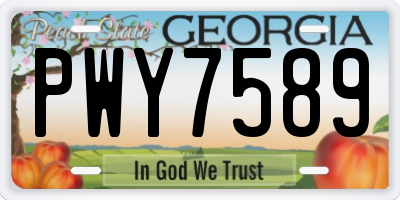 GA license plate PWY7589