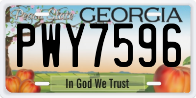 GA license plate PWY7596
