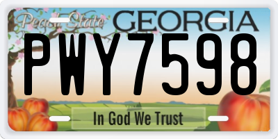 GA license plate PWY7598