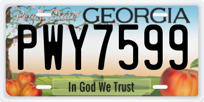GA license plate PWY7599