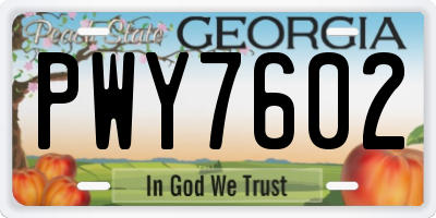 GA license plate PWY7602