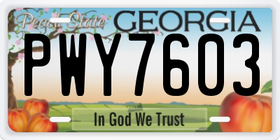 GA license plate PWY7603