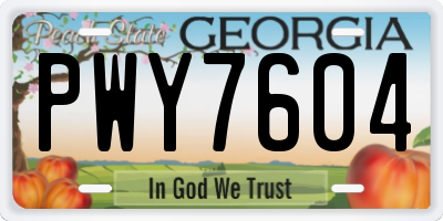 GA license plate PWY7604