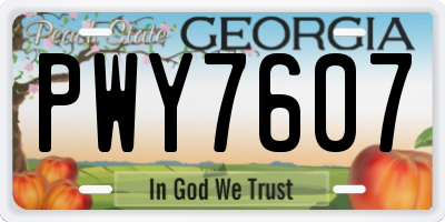 GA license plate PWY7607