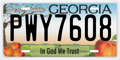 GA license plate PWY7608