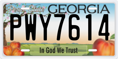 GA license plate PWY7614