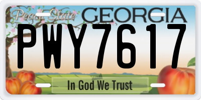 GA license plate PWY7617