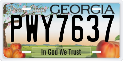 GA license plate PWY7637