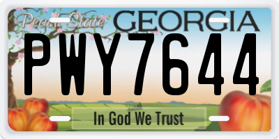 GA license plate PWY7644