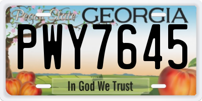 GA license plate PWY7645