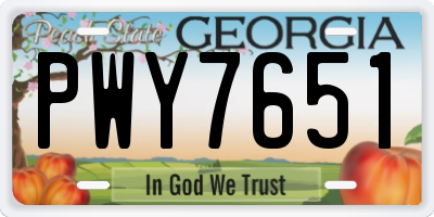 GA license plate PWY7651