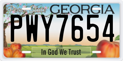 GA license plate PWY7654