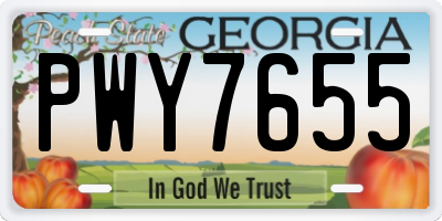 GA license plate PWY7655
