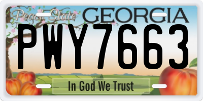 GA license plate PWY7663