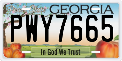 GA license plate PWY7665