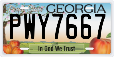 GA license plate PWY7667