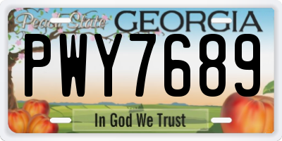 GA license plate PWY7689