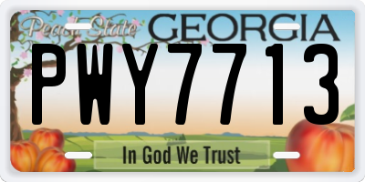 GA license plate PWY7713