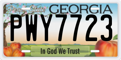 GA license plate PWY7723