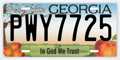 GA license plate PWY7725